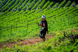 BIB: 
                            <button type="button" onclick="openModal(19163039)" class="btn btn-primary btn-sm float-right btn-popup" data-toggle="modal" data-target=".modal-high-quality">
                        <i class="fas fa-shopping-cart"></i> Add to Cart
                    </button>
                                            <button type="button" onclick="isThisMe(19163039, true)" class="btn btn-success btn-sm float-right btn-popup btn-isme hidden" data-toggle="tooltip" data-placement="bottom" title="นี่คือรูปของคุณใช่ไหม คลิกที่นี่เพื่อเอาเข้าอัลบั้ม">
                        <i class="fas fa-plus"></i> Add to album
                    </button>
                    <button type="button" onclick="isThisMe(19163039, false)" class="btn btn-warning btn-sm float-right btn-popup btn-isnotme hidden">
                        <i class="fas fa-ban"></i> Remove from album
                    </button>